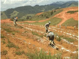 Preparao de Solo